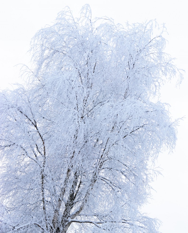 finland+winter+january